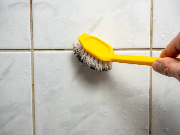 Mold Removal Process in Alto, TX